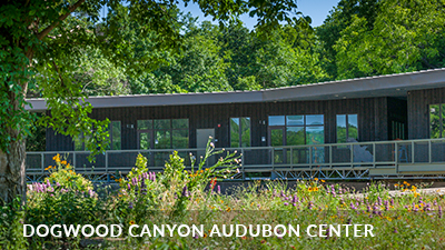 Dogwood Canyon Audubon Center