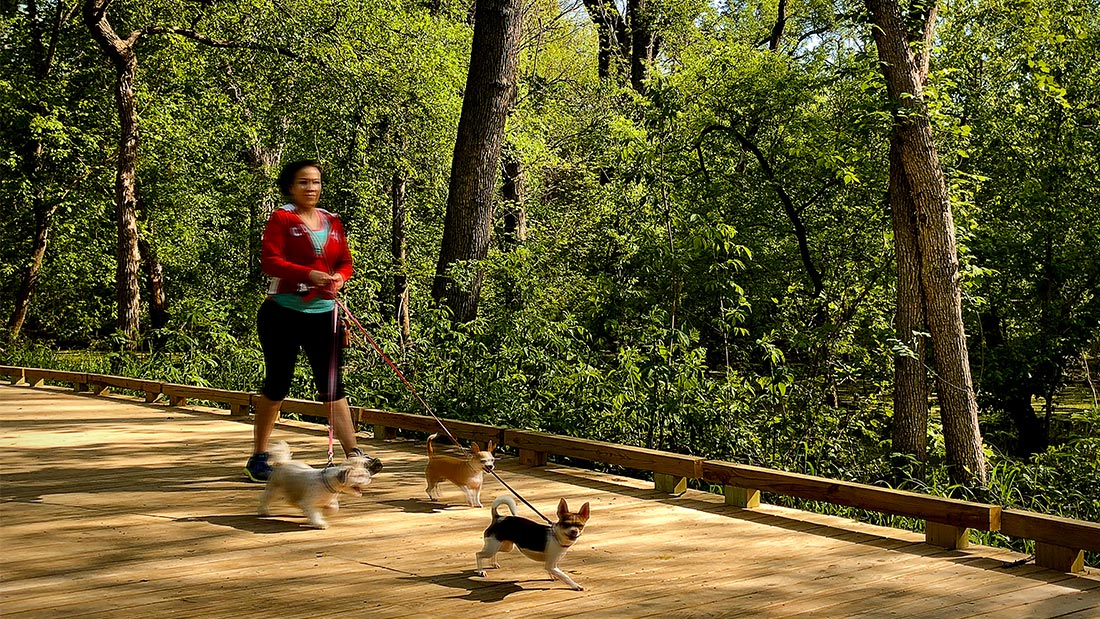 Oak Point Park and Nature Preserve