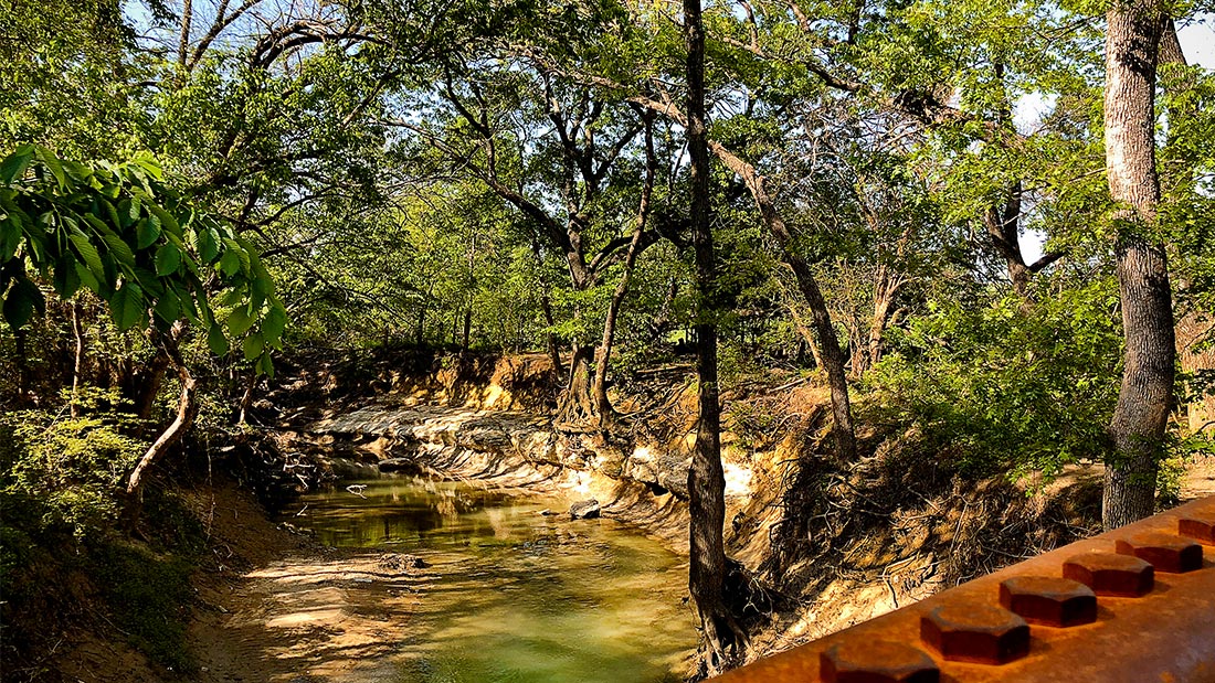 Oak Point Park and Nature Preserve