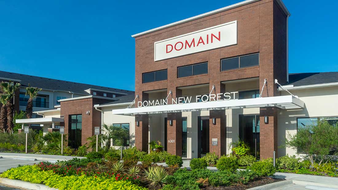 Domain New Forest