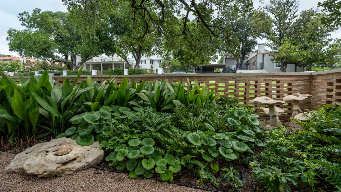 Mount Royal Terrace